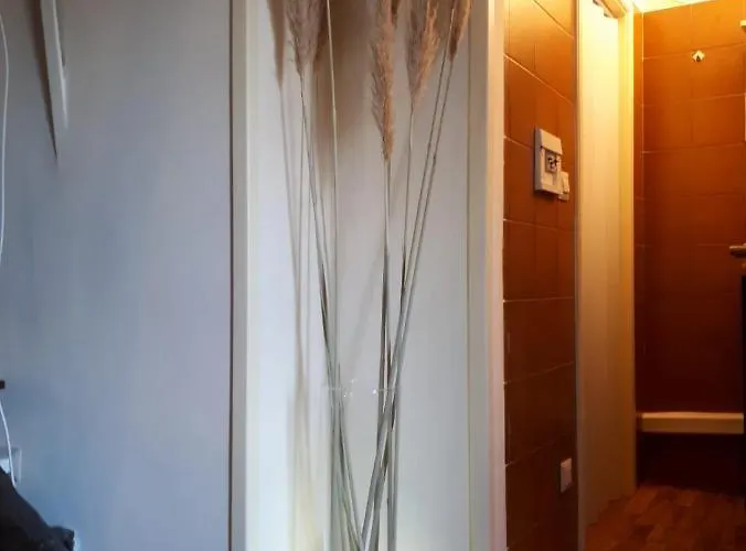 Caravita, 14 * Neapel